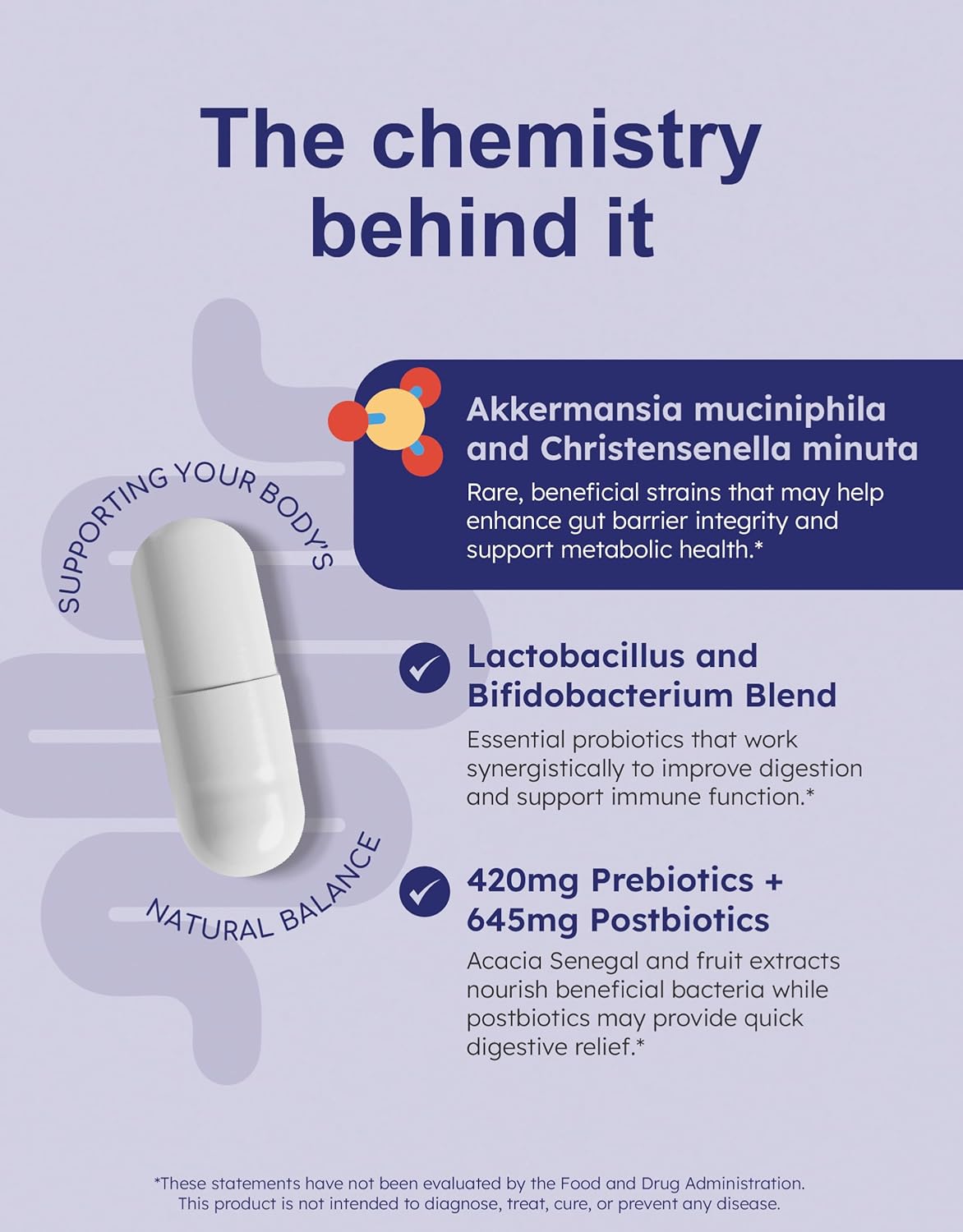 Complete Probiotic, Prebiotic, Postbiotic, GLP-1 Alternative with Akkermansia & Christensenella + Mealtime Digestive Enzymes Lactase, Lipase & Bromelain for FODMAP, Carb, Fat & Protein Breakdown
