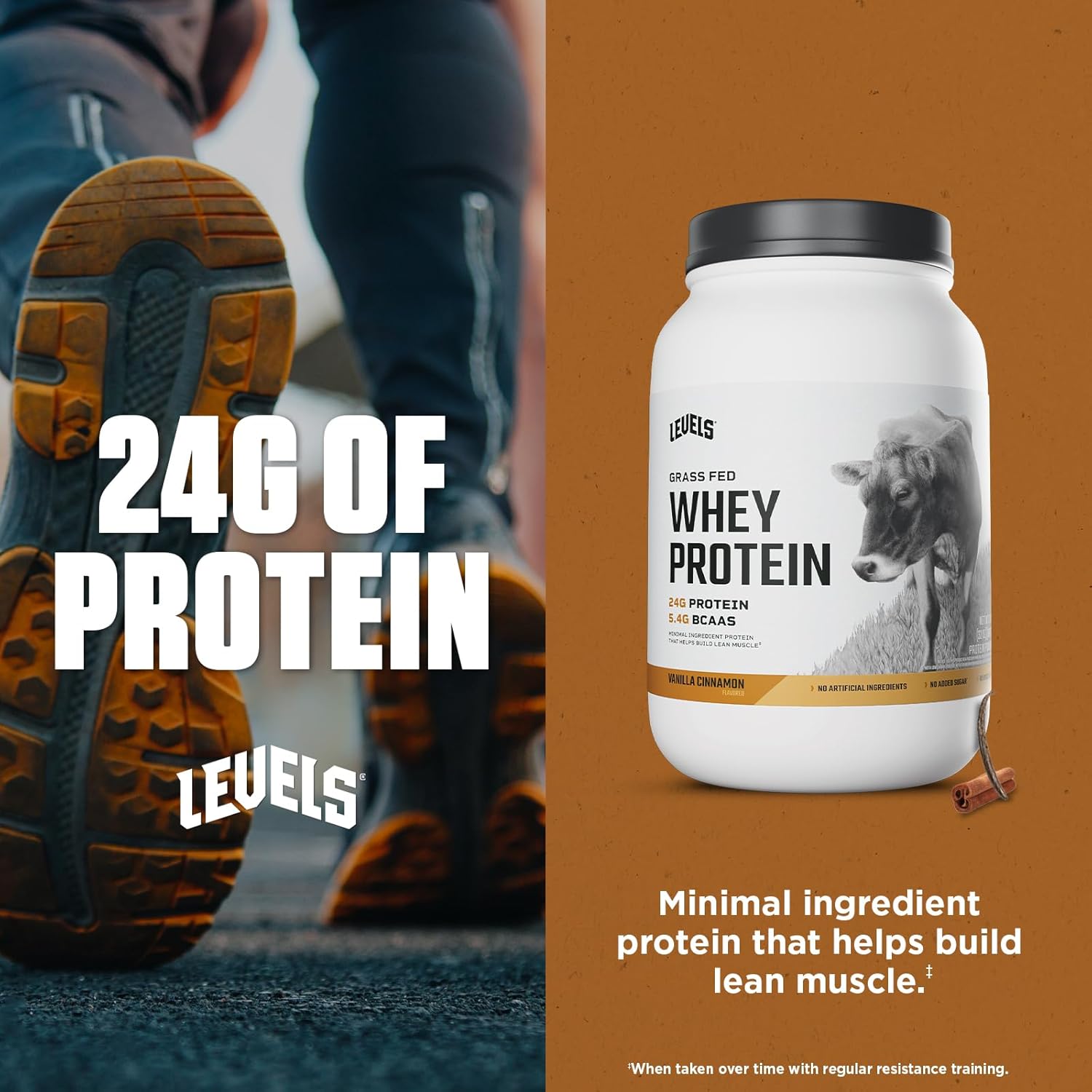 Levels Grass Fed Whey Protein Powder, No Artificials, 24G of Protein, Vanilla Cinnamon, 2LB