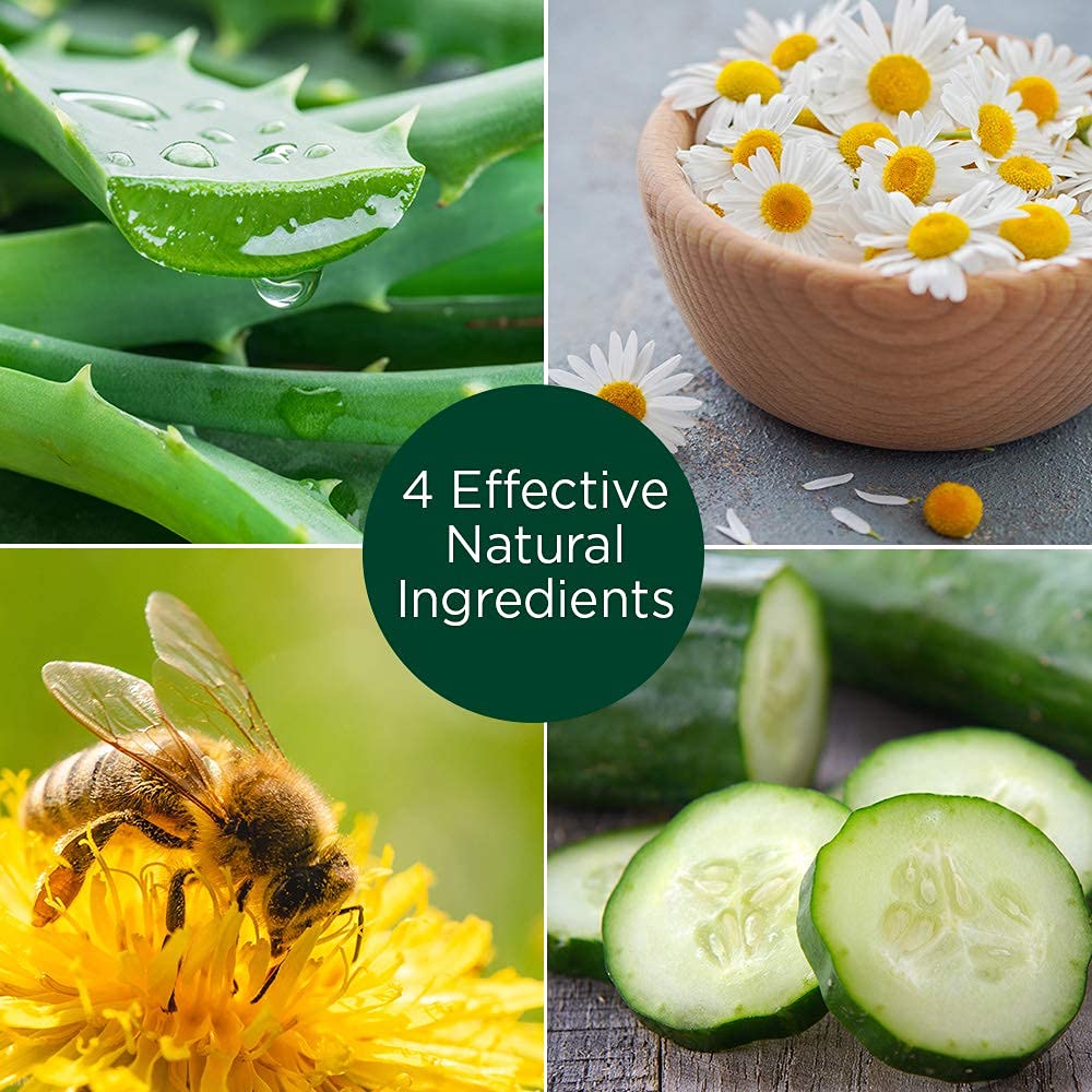 Stanley Home Products Miracle Moisturizer / Aloe, Chamomile, Bee Pollen, Cucumber, Vitamin A Palmitate Reduce Signs Of Aging / For Skin With Wrinkles And Fine Dry Lines / Naturally Fragranced (Pack of 2)