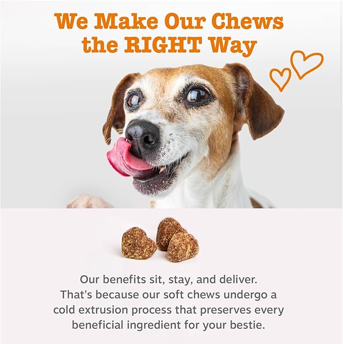 Zesty Paws Hip and Joint for Dogs, Glucosamine for Dogs Hip and Joint Supplement with Chondroitin, MSM, Vitamins C & E - Bacon, 90 Count