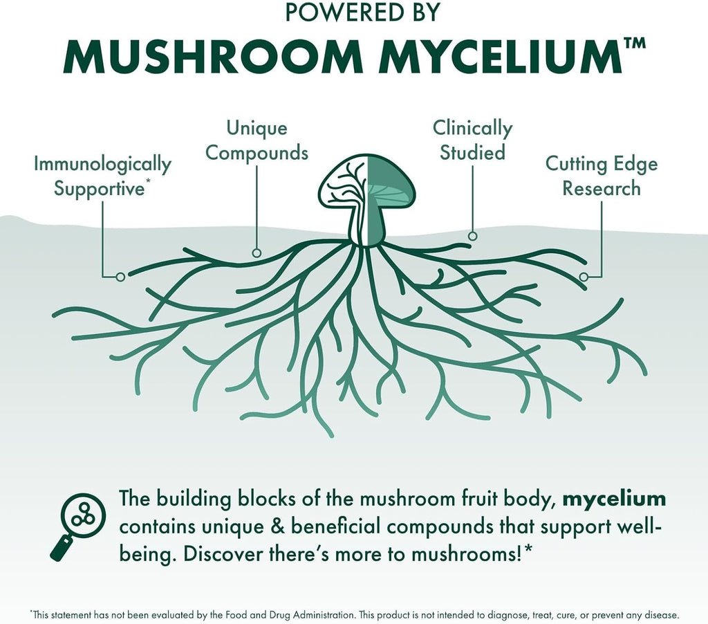 Host Defense MycoBotanicals Liver* Capsules - Liver Health Supplement with Milk Thistle & Turmeric Root - Mushroom Supplement with Turkey Tail, Reishi & Chaga - 60 Capsules (30 Servings)*