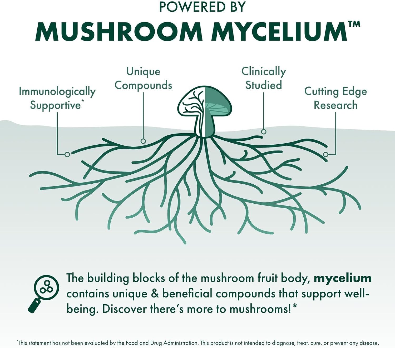 Host Defense MycoBotanicals Liver* Capsules - Liver Health Supplement with Milk Thistle & Turmeric Root - Mushroom Supplement with Turkey Tail, Reishi & Chaga - 60 Capsules (30 Servings)*