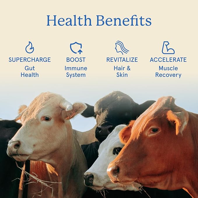 Equip Foods Core Bovine Colostrum Gummies - Delicious 1g Per Seving Grass Fed Colostrum Supplement - Gut Health, Immunity, Recovery, Hair & Skin - 60 Bovine Colostrum Gummies, 30 Servings, Raspberry