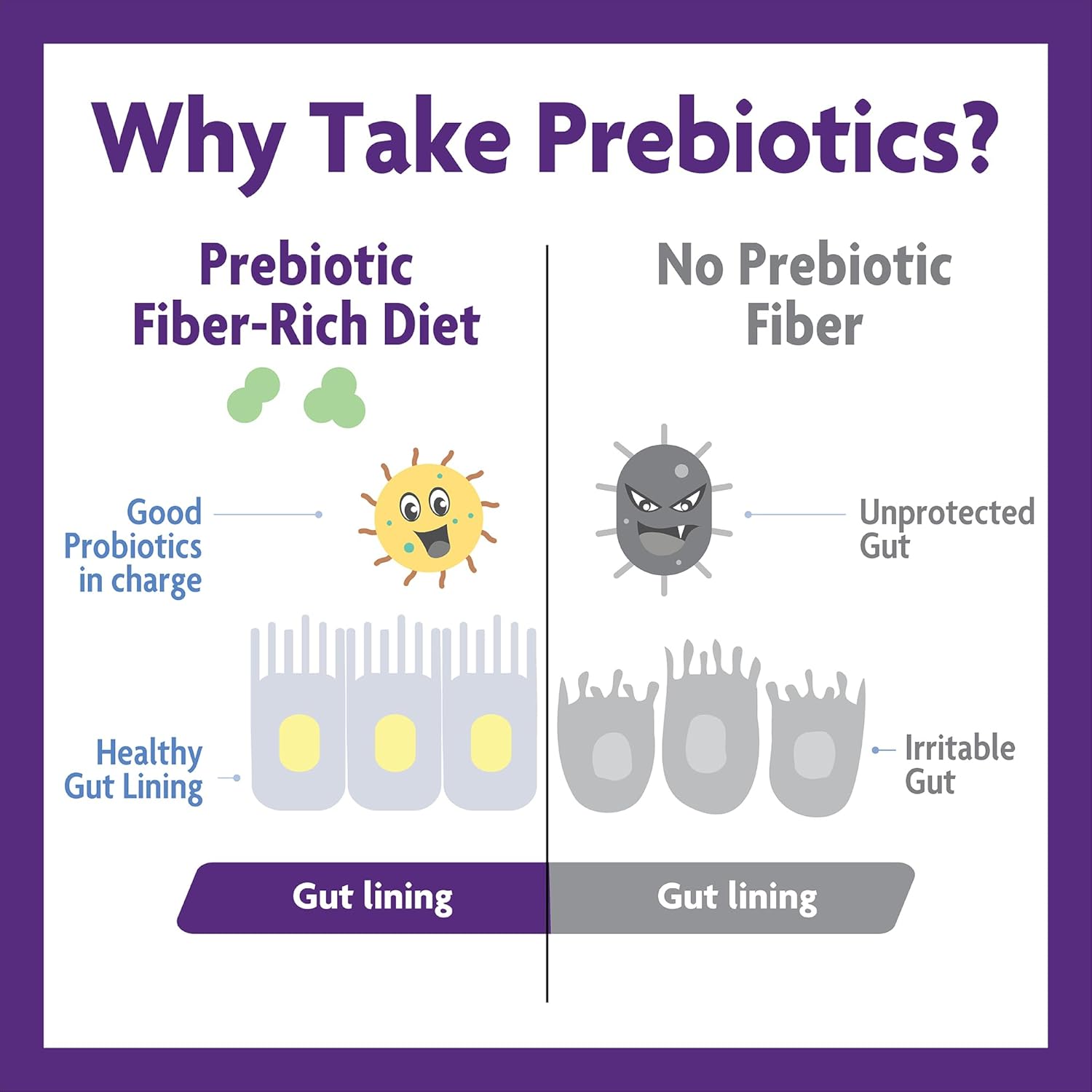 InnovixLabs Prebiotic Fiber Powder for Gut & Digestive Health, High Fiber Supplement for Women and Men with Chicory Root, FOS, Acacia, Inulin, Soluble & Insoluble Fiber, No Added Sugar, 30-Day Supply