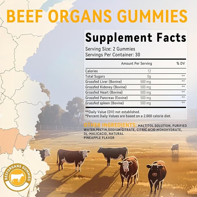 Beef Organ Supplement for Women：Grass Fed Beef Organ Gummies Supplement, Wellness with Liver Heart Kidney Pancreas Spleen Supports Women's Overall Energy and Health Non-GMO(60 Gummies)