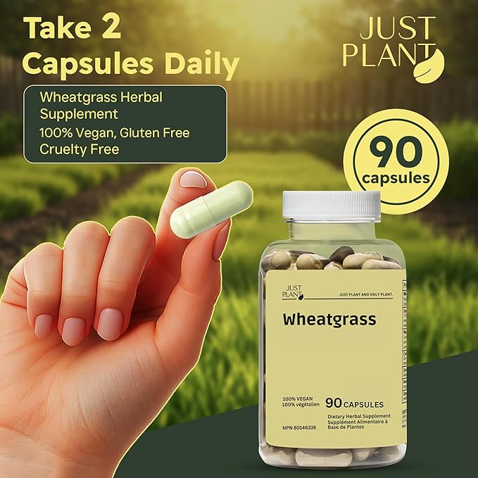 Organic Wheatgrass Capsules 500 mg, 90 Vegan Capsules | Detox, Energy, Digestion & Immune Support | Chlorophyll-Rich Green Superfood, Vegan, Gluten-Free