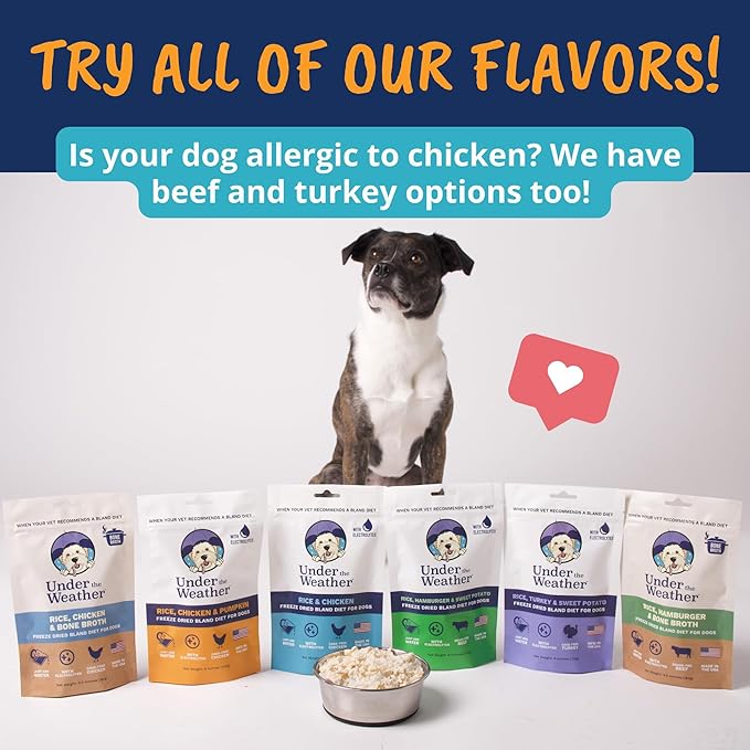 Under the Weather Bland Diet for Dogs | Easy to Digest for Sick Dogs |Always Be Ready | Contains Electrolytes - All Natural Freeze Dried 100% Human Grade Meats | 1 Pack - Rice, Chicken & Pumpkin - 6oz