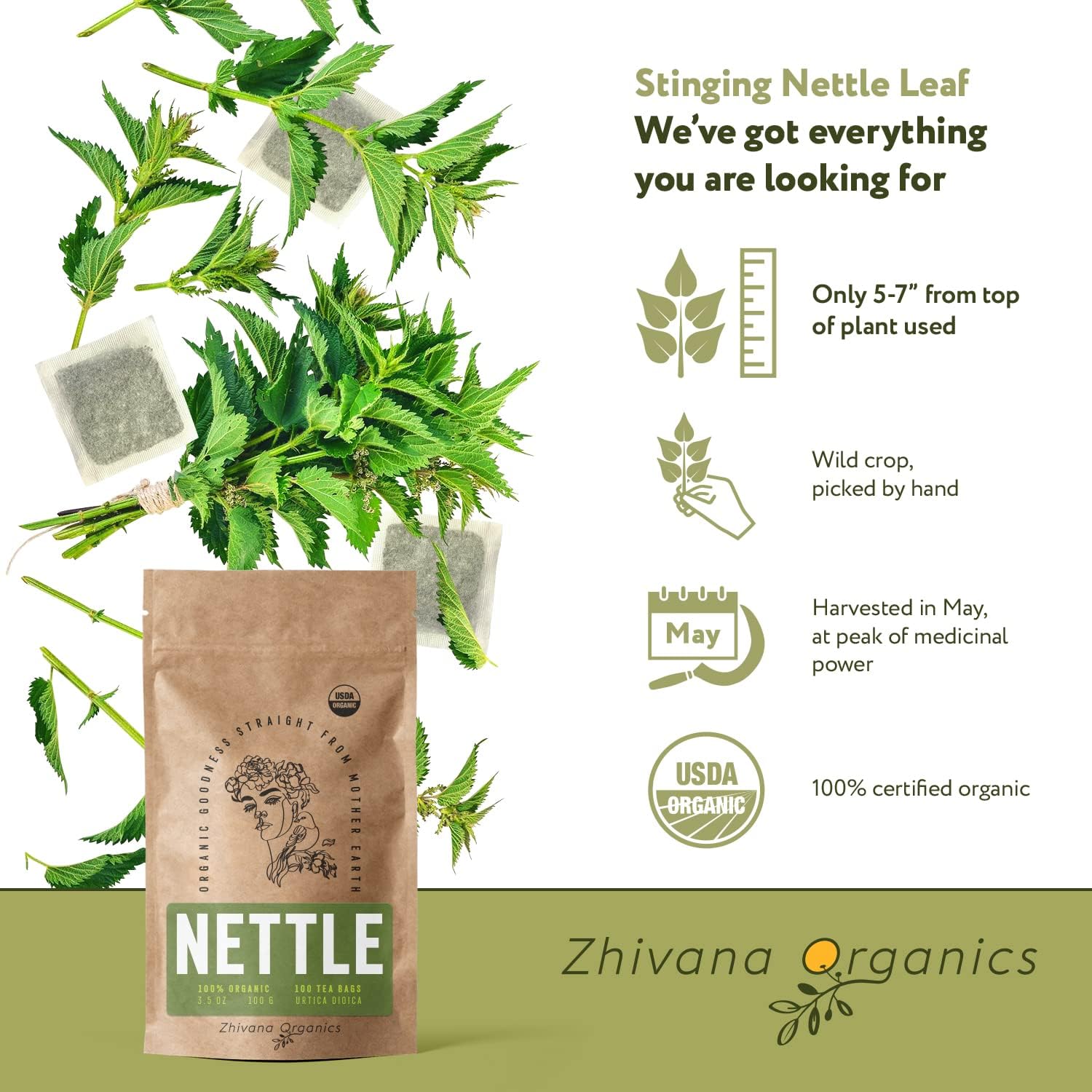 Organic Nettle Tea (100 Tea Bags) - Stinging Nettle Leaf TeaBags (Urtica Dioica) - Te de Ortiga Verde Organica - Support Digestion, Fluid Balance, Kidney, Skin, Hair