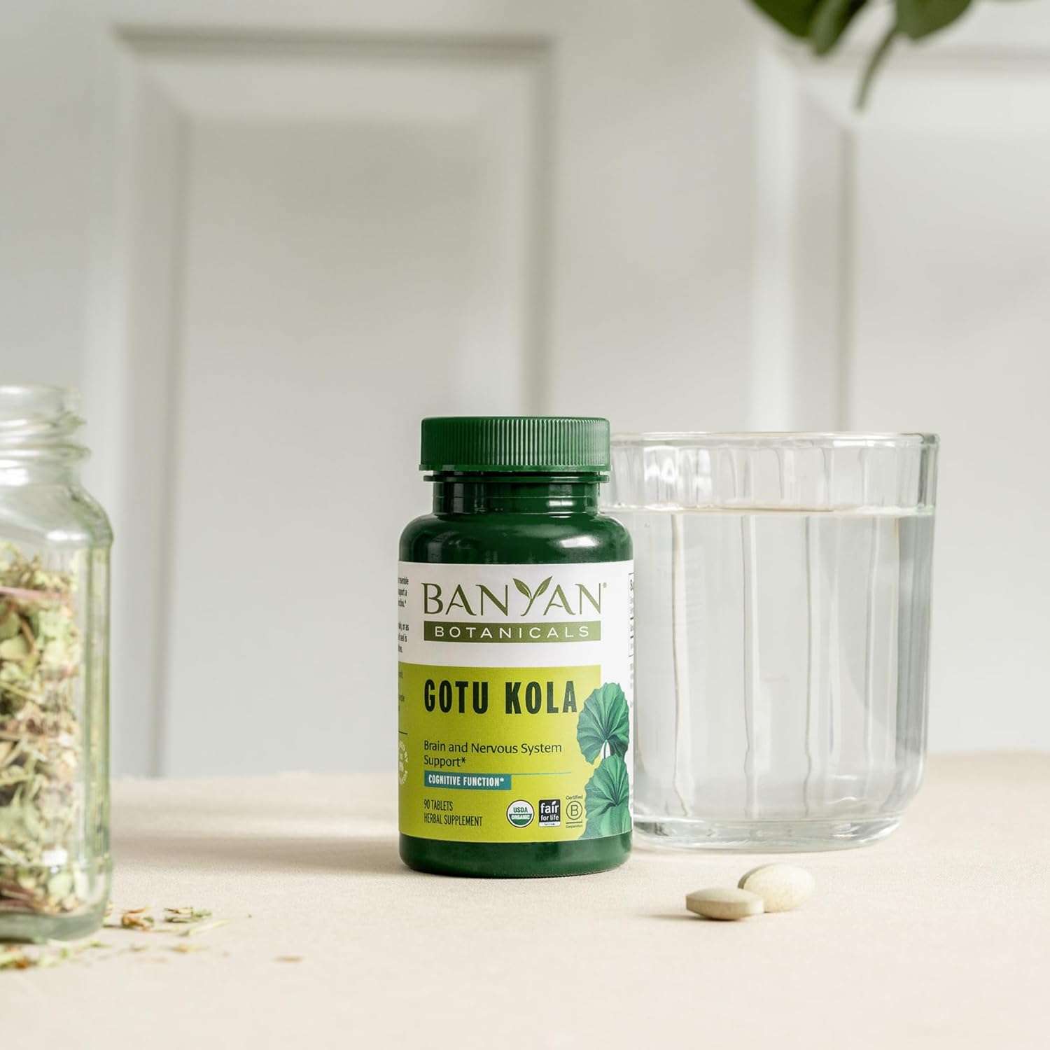 Banyan Botanicals Gotu Kola (Centella Asiatica) – Organic Adaptogen & Nootropic Brain Support Supplement for Healthy Memory & Concentration* – 90 Tablets – Fairly Traded Sustainably Sourced Vegan