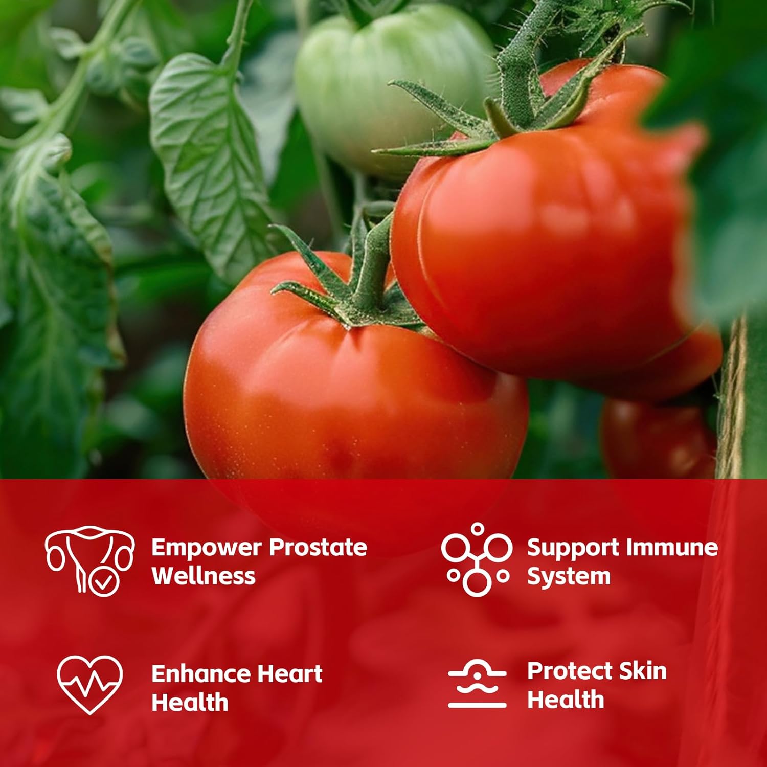 Lycopene Supplement 100mg, Natural Tomato Extract with Reishi Mushroom 200mg, Mushroom Capsule for Immune Health, Gluten-Free, Non-GMO, Vegan, 60 Rapid Release Capsules