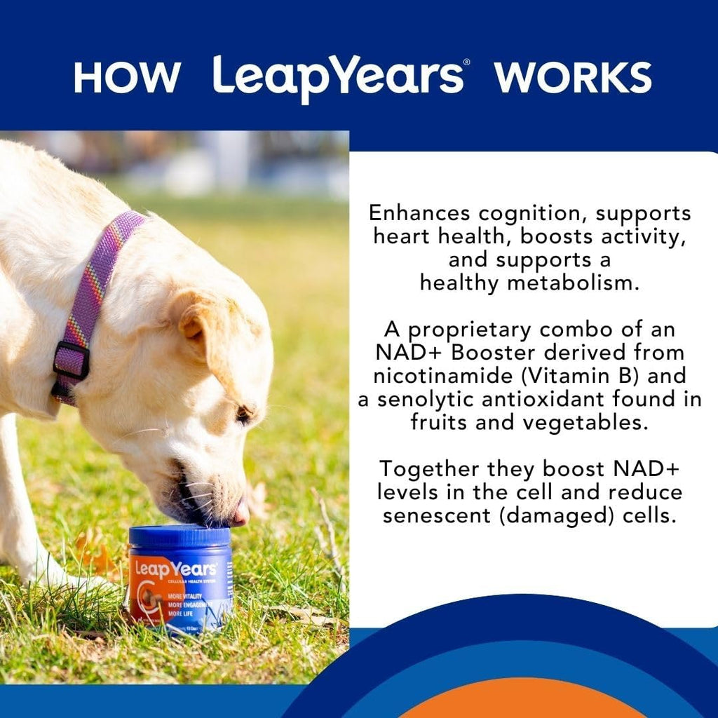 Leap Years Soft Chew Dog Supplement – Supports Healthy Aging, Cognition & Vitality; Veterinarian-Formulated for Brain, Heart & Muscle Health; Powerful NAD Booster & Senolytic Formula, XL Breed