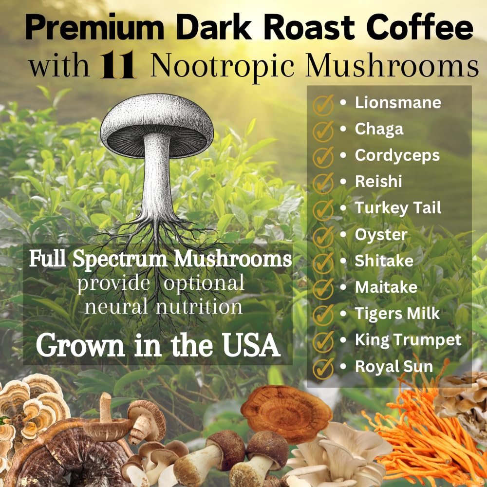 OhmYes 11 Mushroom Coffee + Cacao – Organic Nootropic Superfood Blend with Lion’s Mane, Reishi, Chaga, Cordyceps & Theobromine – Natural Brain Supplement for Memory, Focus & Energy (7 oz)