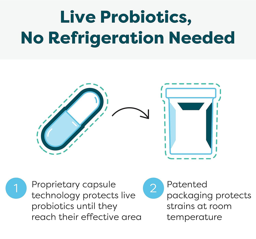 Klaire Labs SFI Health Ther-Biotic Synbiotic Prebiotics & Probiotics for Women & Men - Daily Probiotic with Low FODMAP Prebiotic - Gut, Immune, Respiratory & Digestive Health Support (60 Capsules)