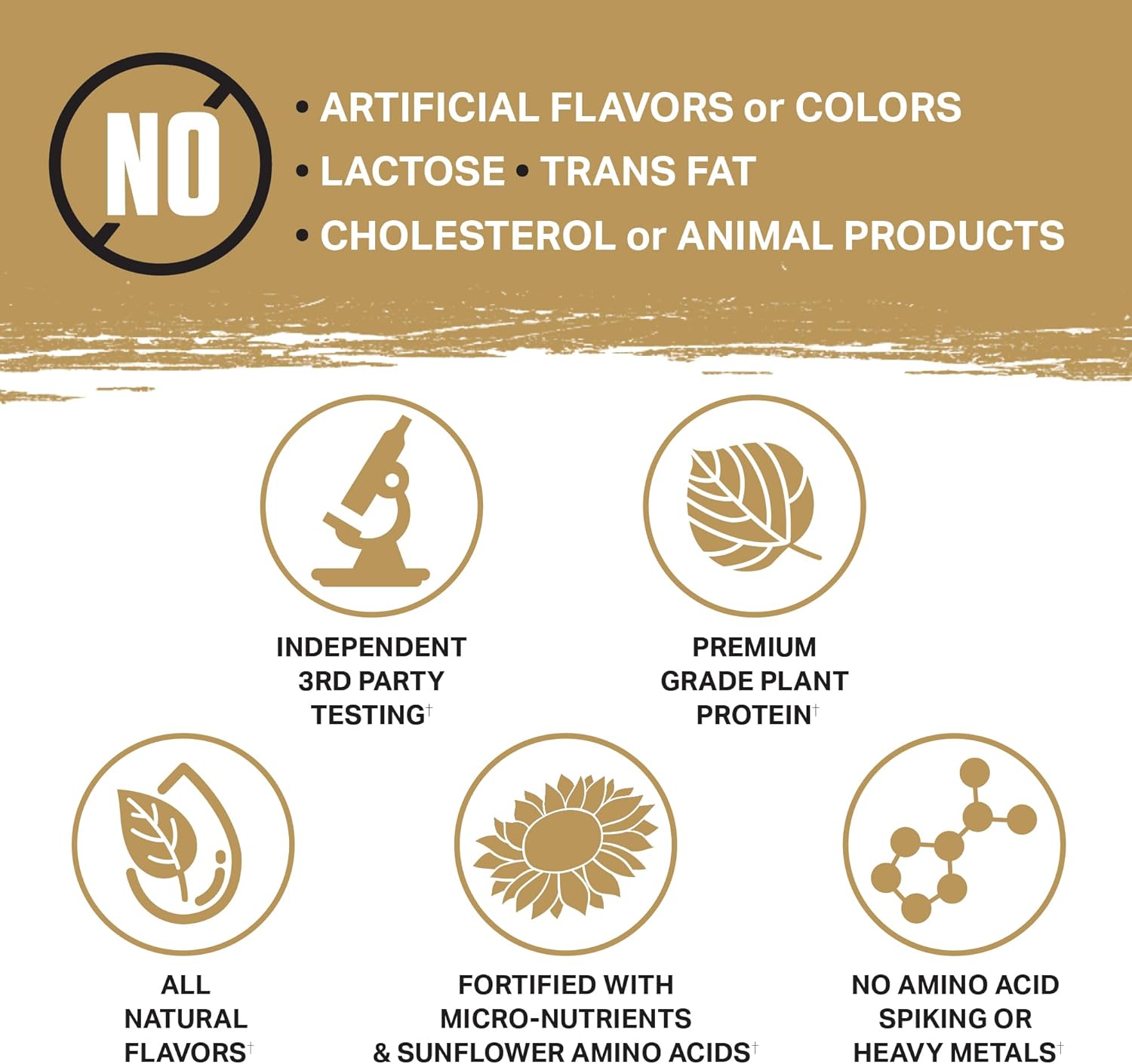 Ambrosia Planta - Premium Organic Plant-Based Protein | Vegan & Keto Friendly | Gourmet Flavors with No Bloating or Stomach Upset | Gluten & Soy Free | No Added Sugar | 25 Servings | Cookies Cream