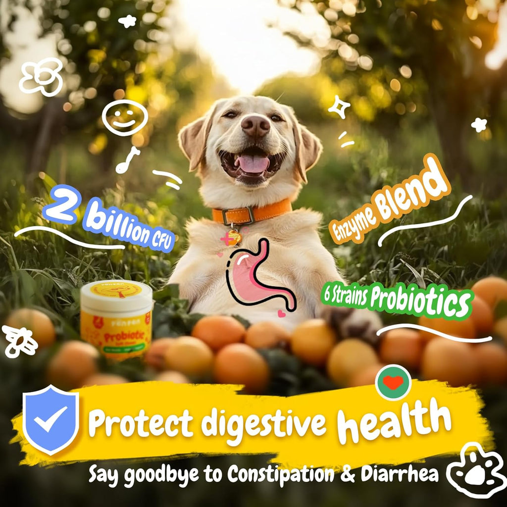 Penpen Probiotics for Dogs, Dogs Probiotics for Digestive Health, Multi-Probiotic and Enzyme Blend Promote Gut Health & Immune Support, Eases Sensitive Stomachs (Beef Chews, 180ct)