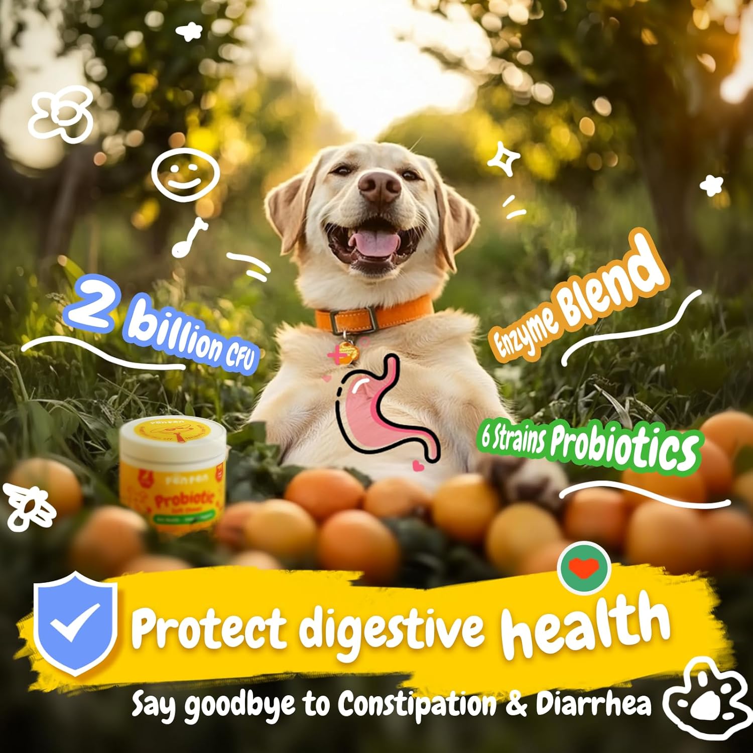 Penpen Probiotics for Dogs, Dogs Probiotics for Digestive Health, Multi-Probiotic and Enzyme Blend Promote Gut Health & Immune Support, Eases Sensitive Stomachs (Beef Chews, 180ct)