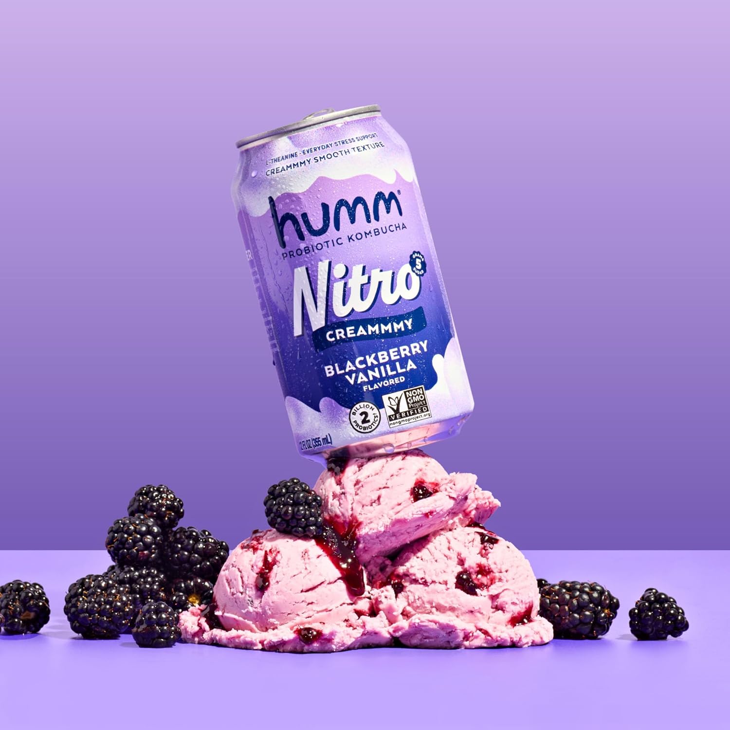 Humm Nitro Kombucha Variety Pack, Creamy Smooth Probiotic Drink with L-Theanine, Includes Blackberry Vanilla, Orange Dream Pop & Strawberry Vanilla, Non-GMO, Vegan, Gluten Free, 12 fl oz (Pack of 12)