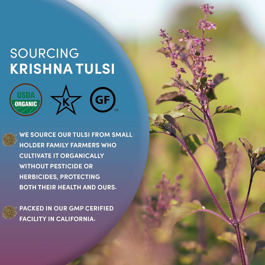 Worldwide Botanicals Organic Holy Basil Tea, 8oz - Tulsi Krishna - Loose Leaf Premium Herbal Tea, 100% Pure Tulsi Holy Basil, Fair Trade, Adaptogenic, Kosher