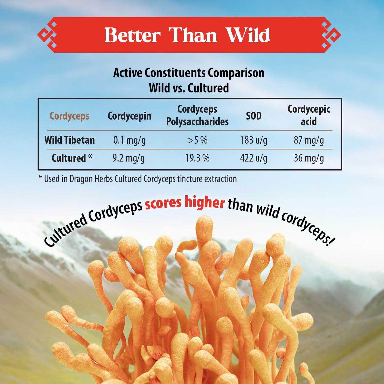 Dragon Herbs Cultured Cordyceps Drops Tibetan Wild Strain • Mushroom Supplement • Deep Rejuvenation, Lung & Brain Power, Stamina • Triple Extractions • Cordycepin • Vegetarian, 2 fl oz 60ml • Tincture