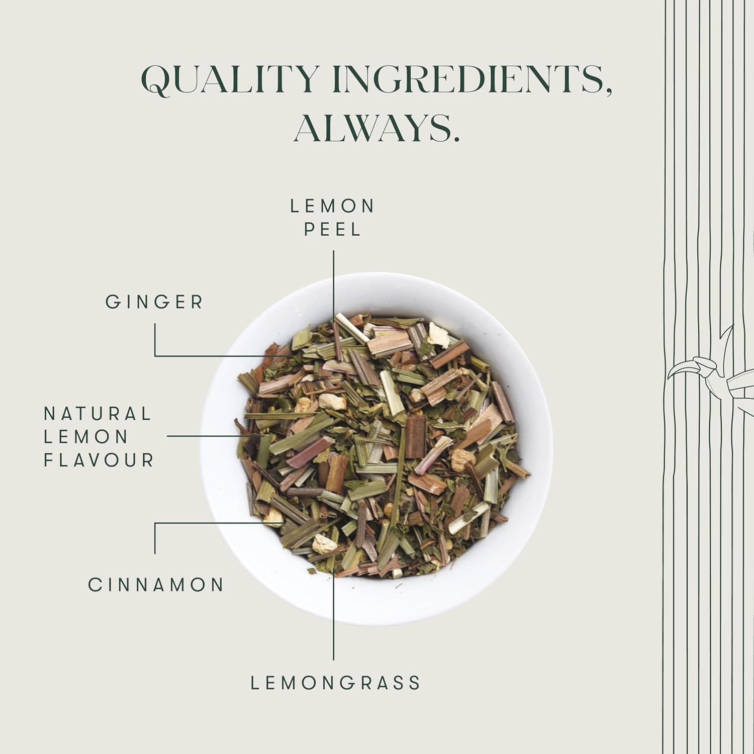 Luxmi Estates Lemon Ginger Root - 50gm Tin Loose Leaf | Certified Organic Herbal Tea | Citrus Flavor & Aroma | Lemon Peel, Ginger, Lemongrass, Licorice