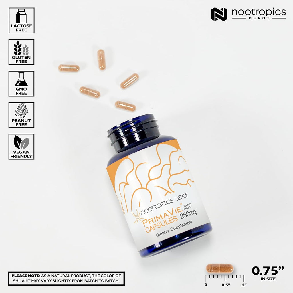 Nootropics Depot PrimaVie Shilajit Capsules | 250mg | 90 Count | Purified Extract | Ayurvedic Herb | Supports Mitochondrial Function + Boosts Endurance