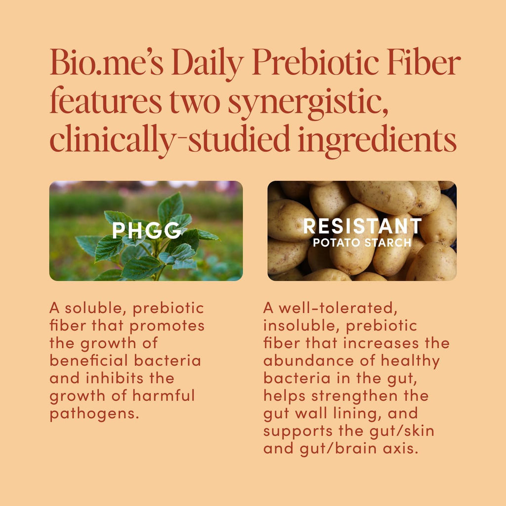 Daily Prebiotic Fiber (Chai) - Fiber Supplement Powder for Digestive Health & Gut Health - Fiber Powder Prebiotics, Non-GMO, Gluten & Sugar Free Soluble Fibre Supplements-30 Servings