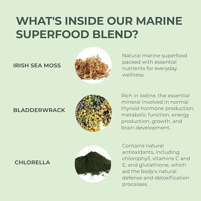 Primal Harvest Sea Moss Capsules with Bladderwack and Irish Sea Moss, Chlorella, Broccoli Seed Extract Plant-Based Supplements for Adults