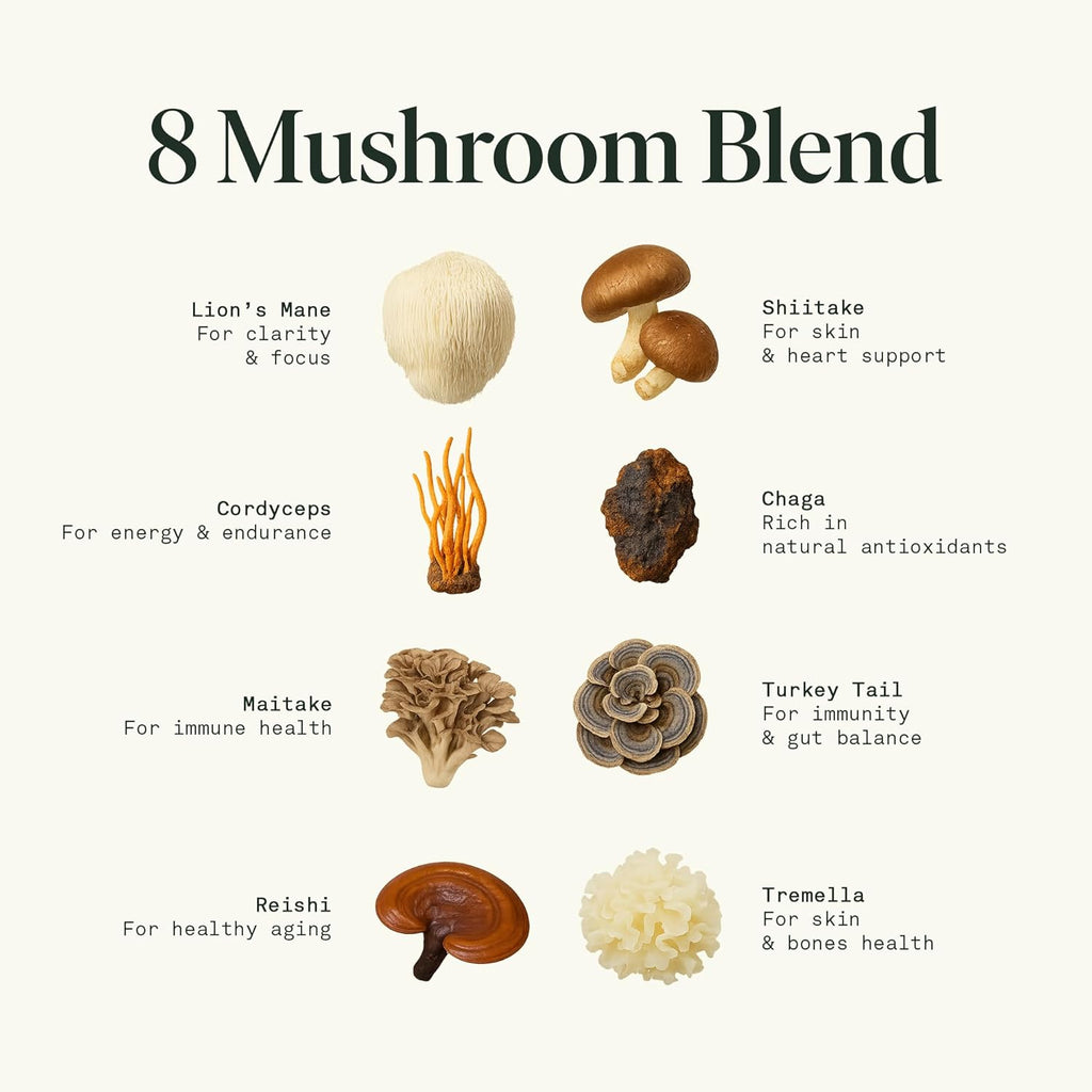Fantastic Fungi Mushroom Extract - 8-in-1 Organic Complex Mushroom Supplement with Cordyceps, Reishi, Lion’s Mane, Chaga, Turkey Tail, Shiitake, Maitake & Tremella - Adaptogen Liquid Tincture, 1 fl oz