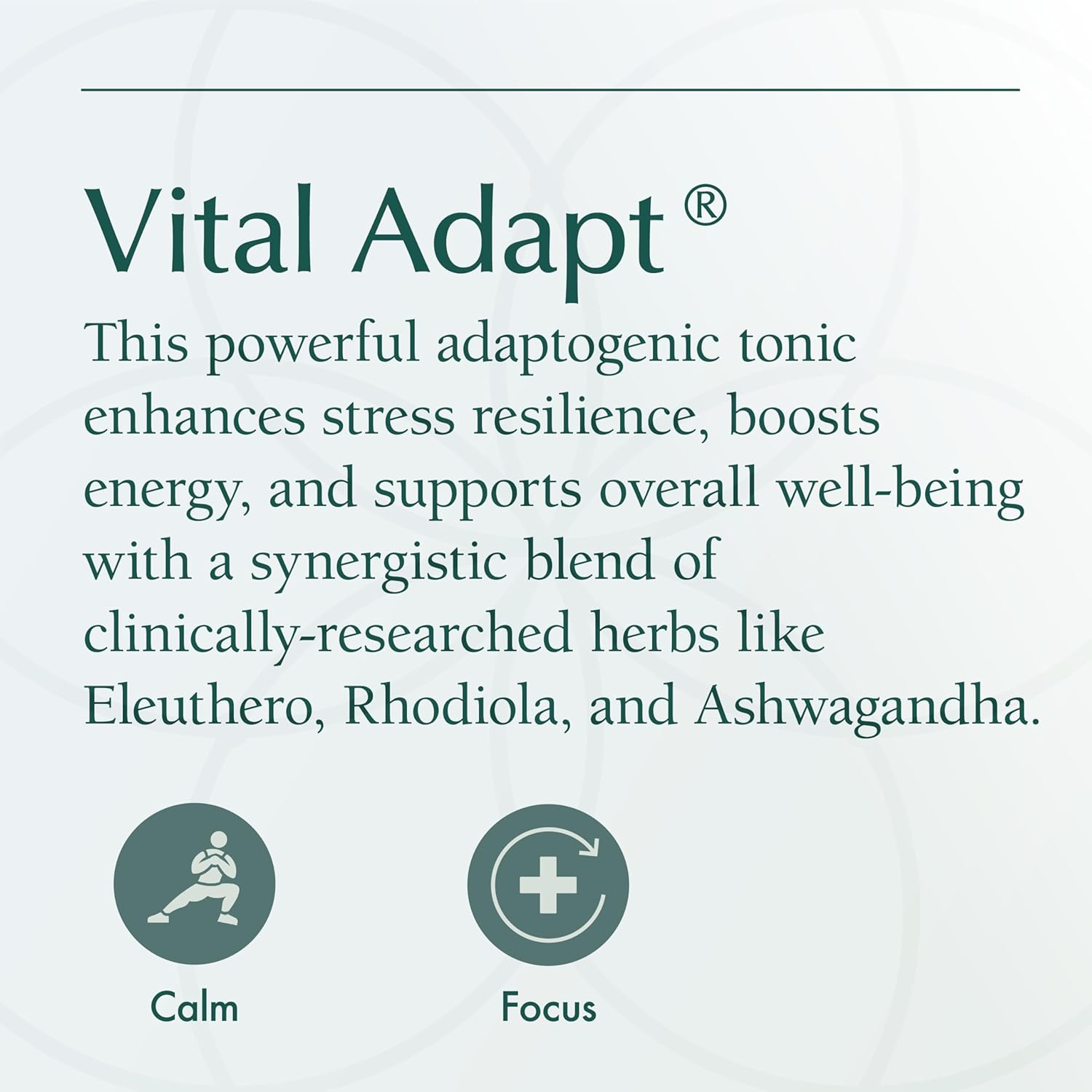 Natura Health Products Vital Adapt Supplement - Daily Nourishing Adaptogenic Tonic for Endocrine Function Support - Featuring Rhodiola, Ashwagandha, Cordyceps, Reishi (4 Fluid oz)