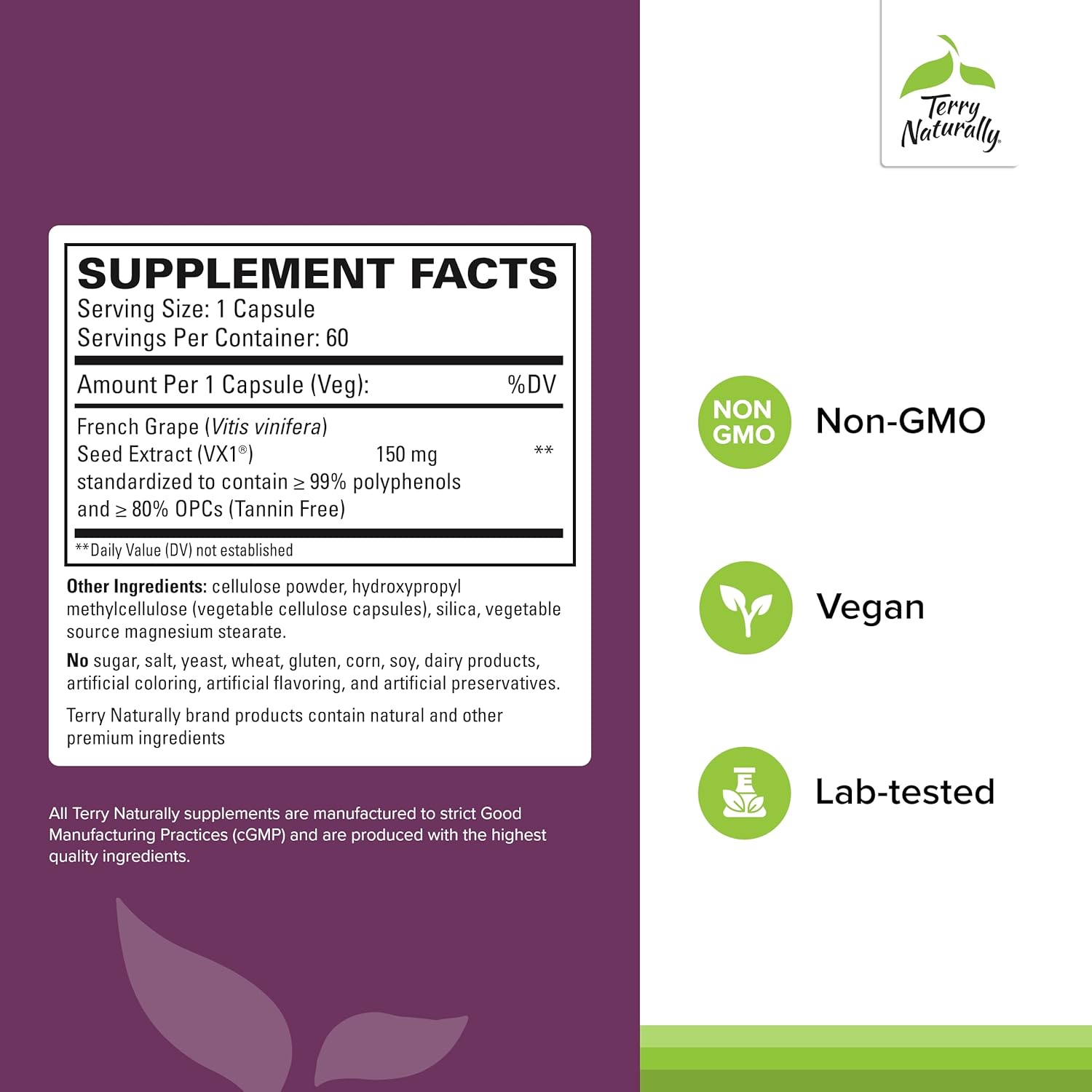 Terry Naturally Clinical OPC - Cardiovascular Health & Focus Support Supplement - Dietary Supplement with Grape Seed Extract & Sunflower Lecithin - Immune Support Supplement - 300 mg, 60 Capsules