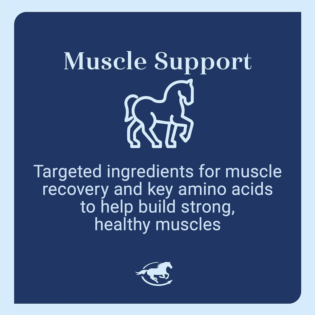 Uckele by SmartEquine Acetyl L-Carnitine HCL Powder | Horse Energy Supplement & Muscle Supplement for Horses Supporting Muscle Function & More | Antioxidant-Rich Pure Formula | 1 lb Bag