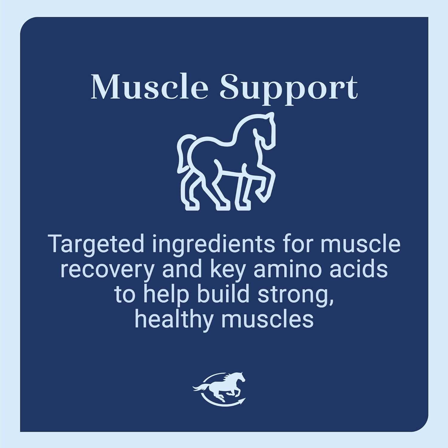 Uckele by SmartEquine Acetyl L-Carnitine HCL Powder | Horse Energy Supplement & Muscle Supplement for Horses Supporting Muscle Function & More | Antioxidant-Rich Pure Formula | 1 lb Bag