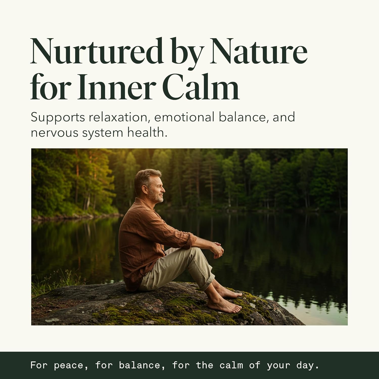 Reishi Mushroom Extract Drops Fantastic Fungi Chill Elixir, 4-in-1 Mood Support Supplement w/ Holy Basil & Shiitake Mushrooms for Relaxation & Calm | 100% Organic & Natural | 30 Servings, 1 fl oz