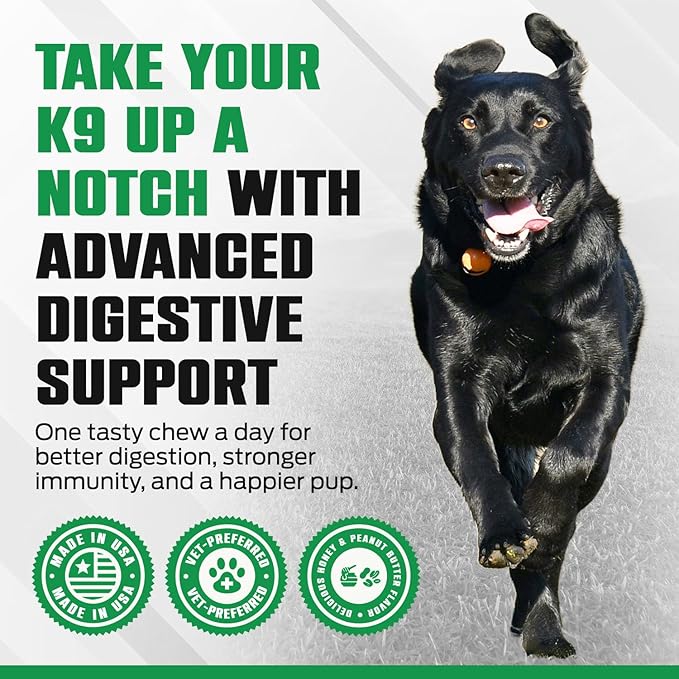 K10 Probiotic Chews for Dogs (60ct) – Advanced Digestive Support with Probiotics, Prebiotics & Superfoods – Vet-Preferred Dog Supplement for Digestion, Immunity, Skin, Coat & Everyday Vitality