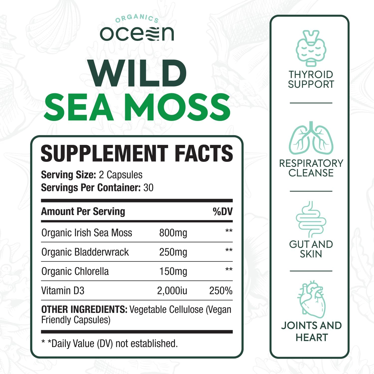 Wild Sea Moss Capsules - 100% Organic Irish Sea Moss with Organic Chlorella, Bladderwrack and Vitamin D for Energy, Lung Health and Thyroid Support for Women and Men - 6 Bottles