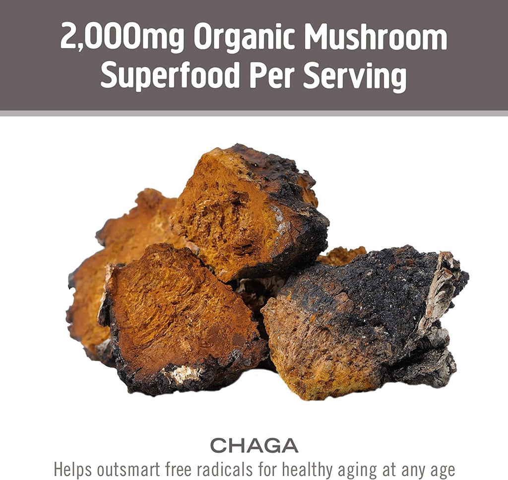 OM MUSHROOM SUPERFOOD Chaga Mushroom Capsules Supplement, Sacred Antioxidants & Immune Support, 90 Count, 30 Days