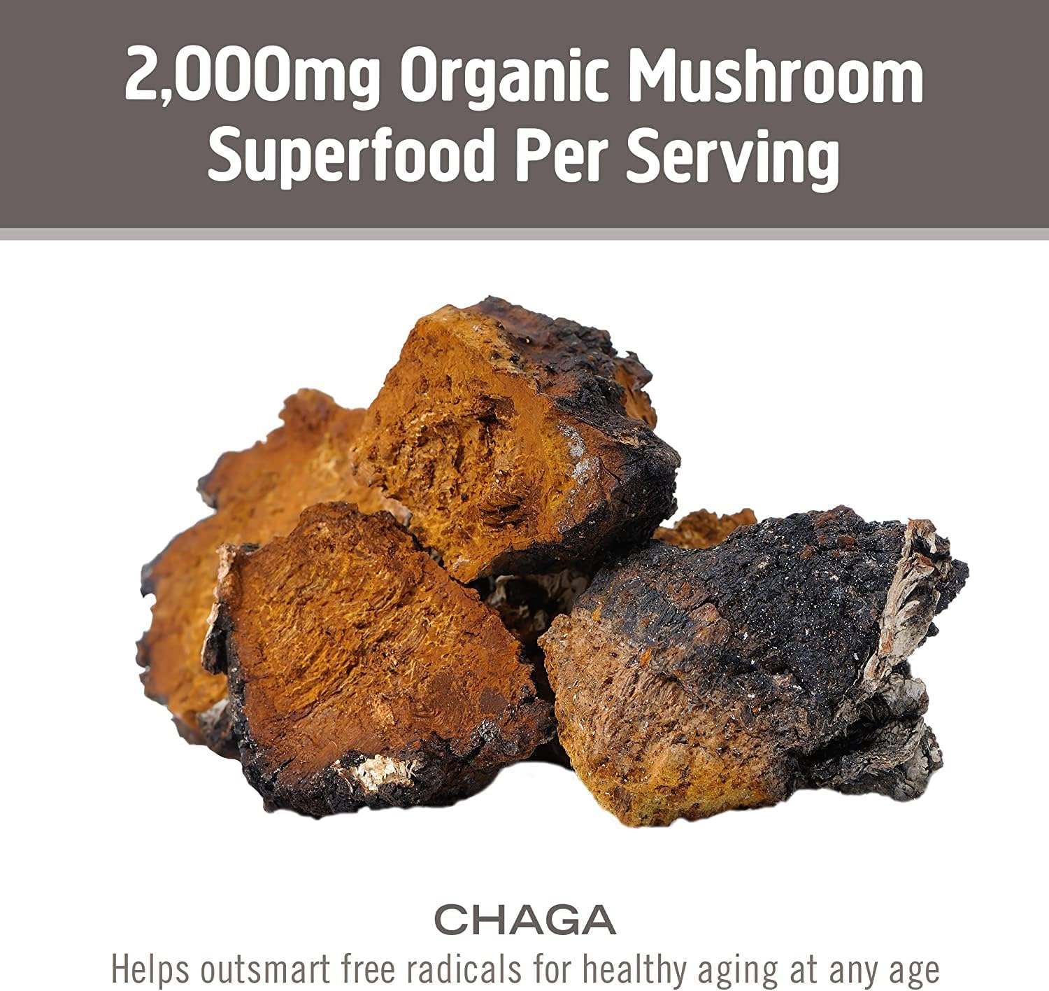 OM MUSHROOM SUPERFOOD Chaga Mushroom Capsules Supplement, Sacred Antioxidants & Immune Support, 90 Count, 30 Days