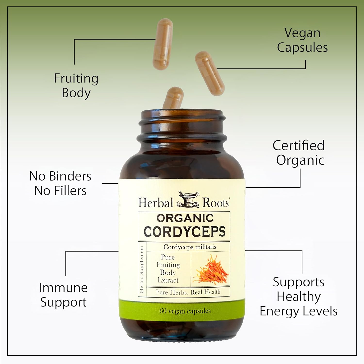 Herbal Roots Organic Cordyceps - Fruiting Body Extract Mushroom Capsules - Immune & Energy Support - 60 Vegan Capsules