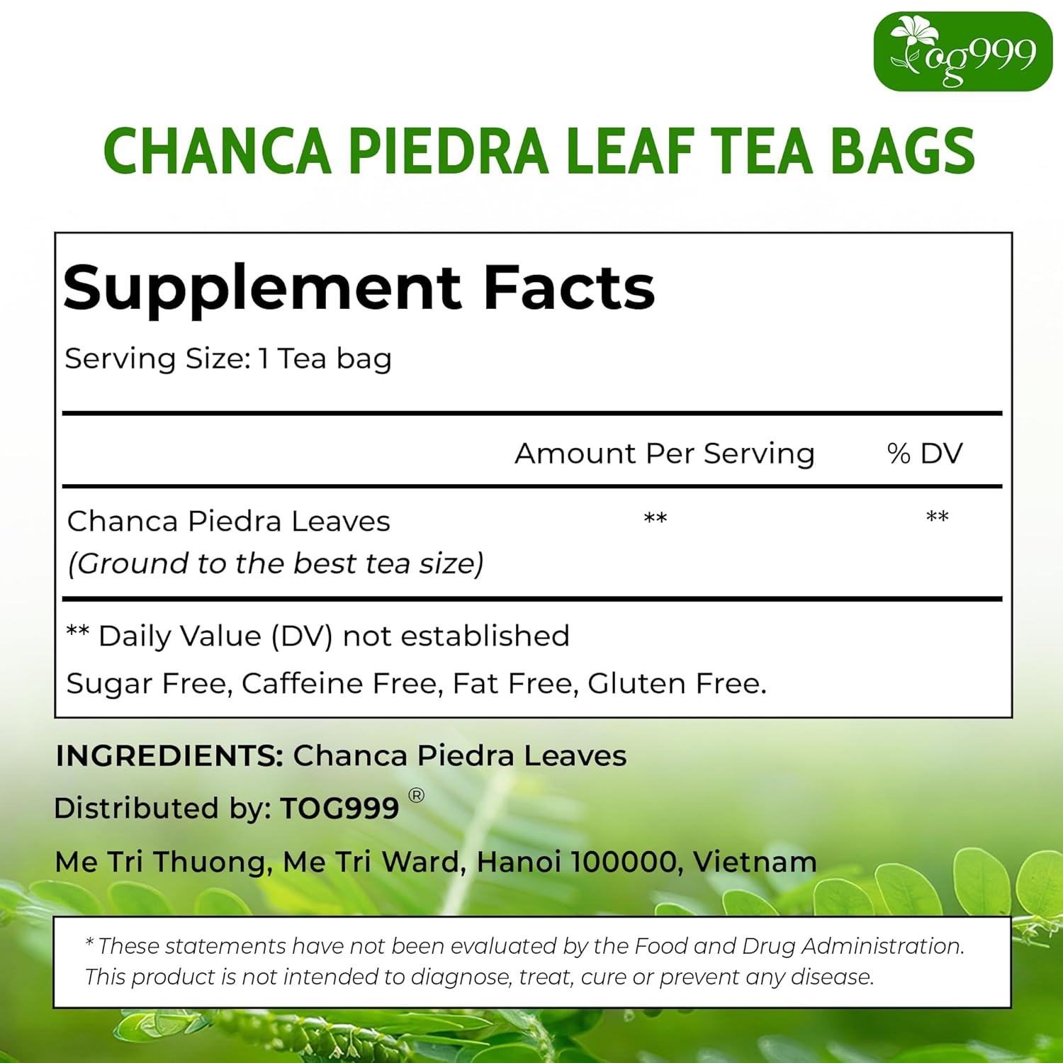 TOG999, Premium 120 Chanca Piedra Leaf Tea Bags, 100% Natural & Pure from Chanca Piedra Leaves. Loose Leaf Chanca Piedra Herbal Tea. Made with Natural Material Tea Bags. No Sugar, No Caffeine, No Gluten, Vegan.
