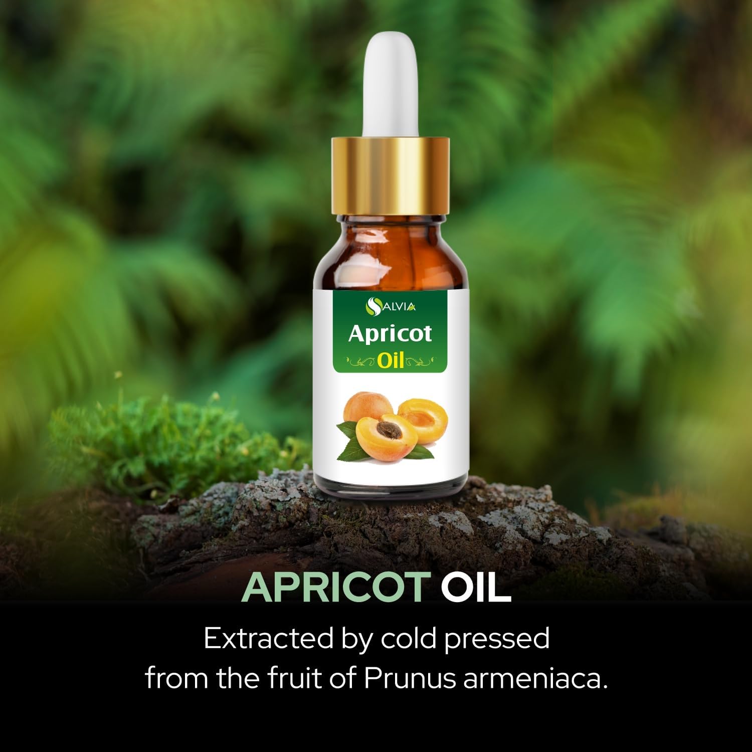 Salvia Apricot (Prunus armeniaca) Oil - 15ml/0.507Fl Oz with Dropper