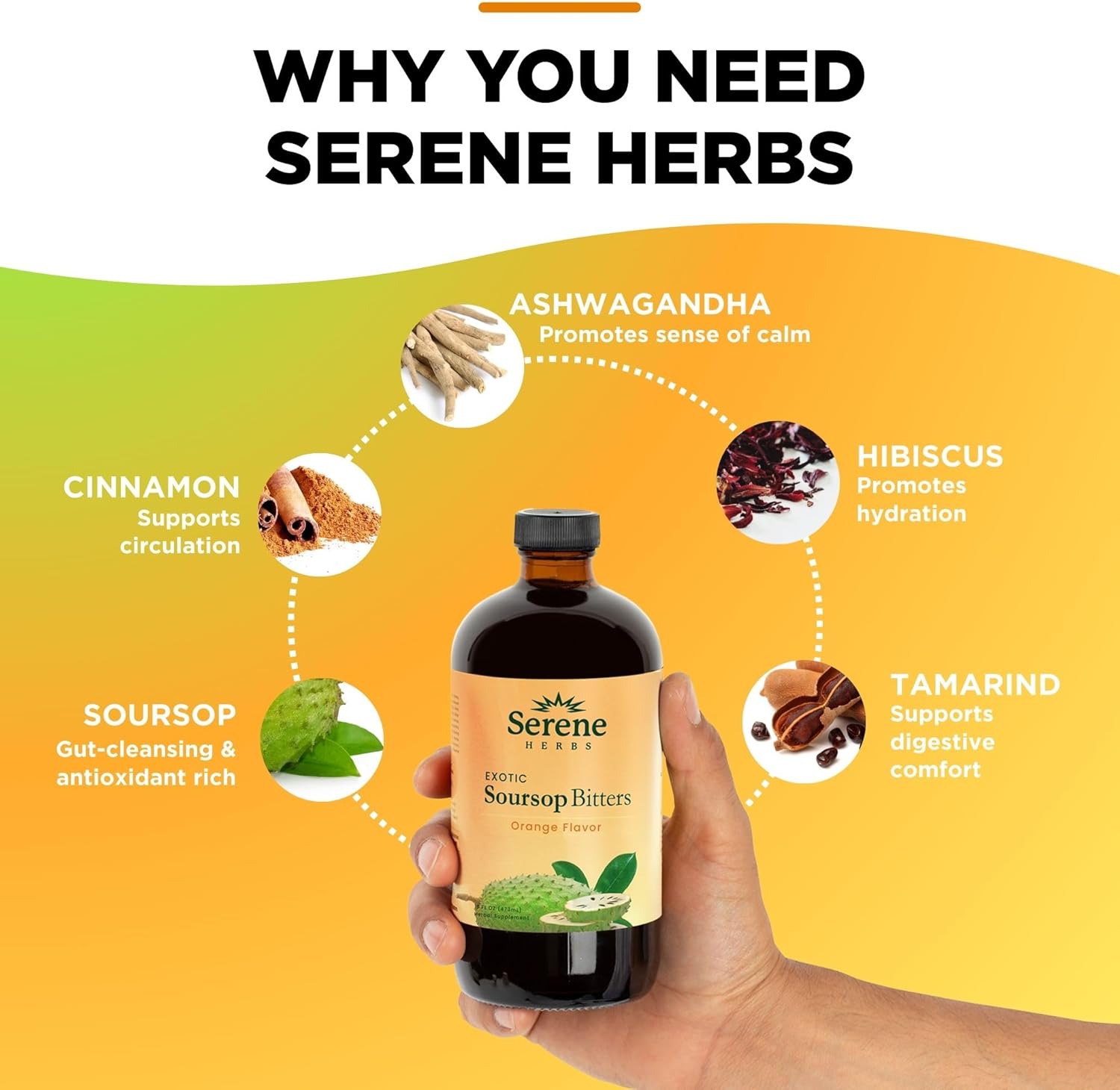 Serene Herbs Soursop Bitters Liquid – Organic Herbal Sour SOP Guanabana with Black Seed, Moringa, Irish Moss & Ginger – Gut Support, Energy & Immune Boost – Vegan, Non-GMO – Orange Flavor – 16 oz