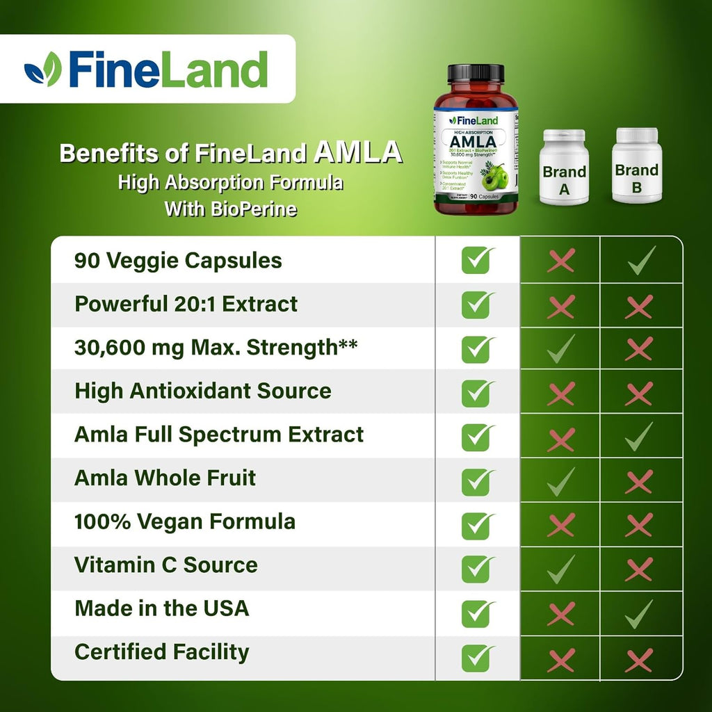 FineLand Amla (Indian Gooseberry) 20X Full Spectrum Extract – 30,600mg Equivalent per Serving with BioPerine® for Absorption, Rich in Natural Vitamin C, Immune & Digestive Support – 90 Vegan Capsules