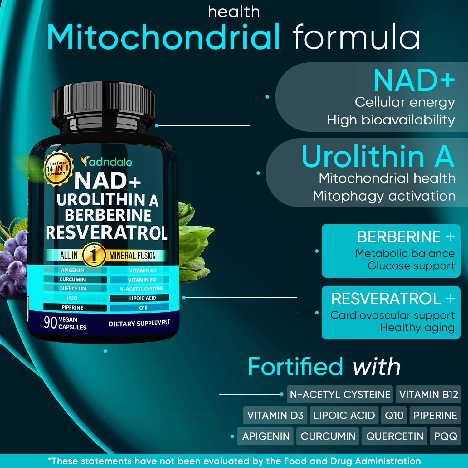Adndale NAD Supplement for Women and Men. Longevity Formula with Liposomal NAD+, Trans Resveratrol, Urolithin-A, Berberine, CoQ10. NMN Supplement Alternative. 90 Count