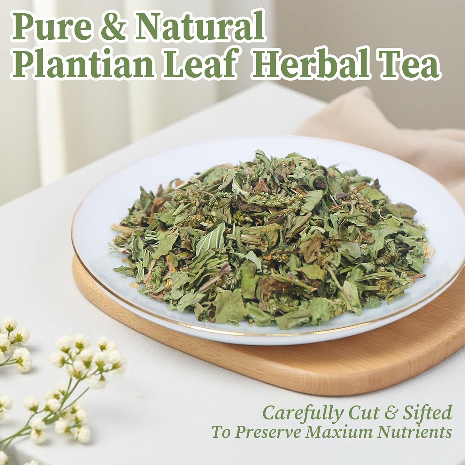 FullChea - Plantain Leaf Tea, 50 Teabags, 2g/bag - Whole Plantain Leaves - Plantago Major Herbal Tea - Non-GMO - Caffeine-free - Support Respiratory Health & Boost Immunity