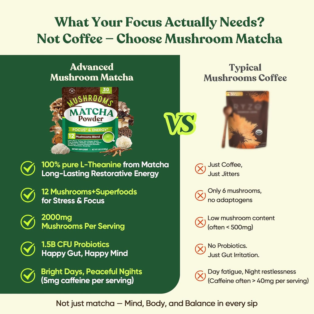 Venture Pal 12 Mushroom Matcha Powder – Mushroom Coffee Alternative with Lion’s Mane & Chaga + 1.5B Probiotics & L-Theanine, First Harvest Ceremonial Green Tea for Better Focus & Energy, 30 Servings
