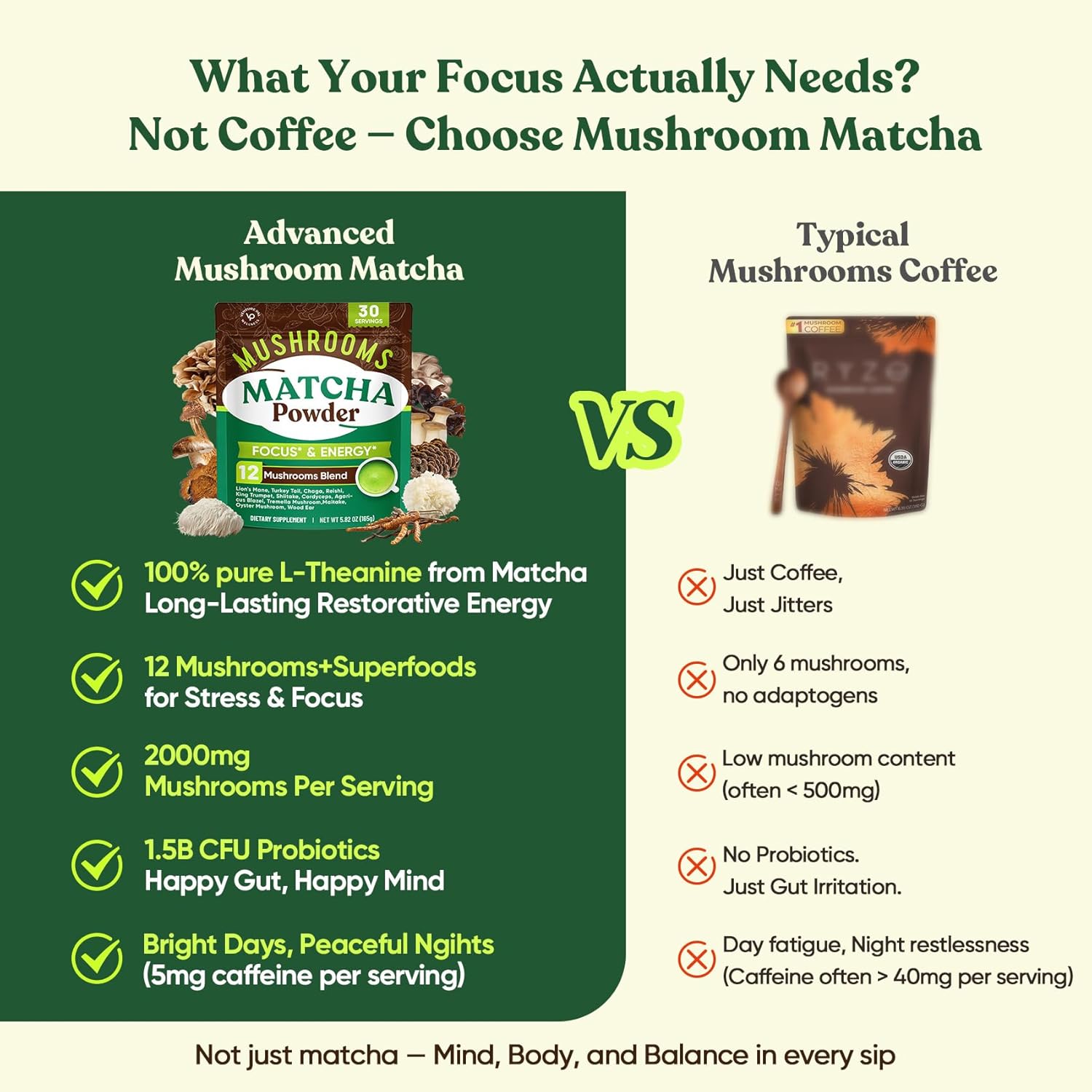 Venture Pal 12 Mushroom Matcha Powder – Mushroom Coffee Alternative with Lion’s Mane & Chaga + 1.5B Probiotics & L-Theanine, First Harvest Ceremonial Green Tea for Better Focus & Energy, 30 Servings