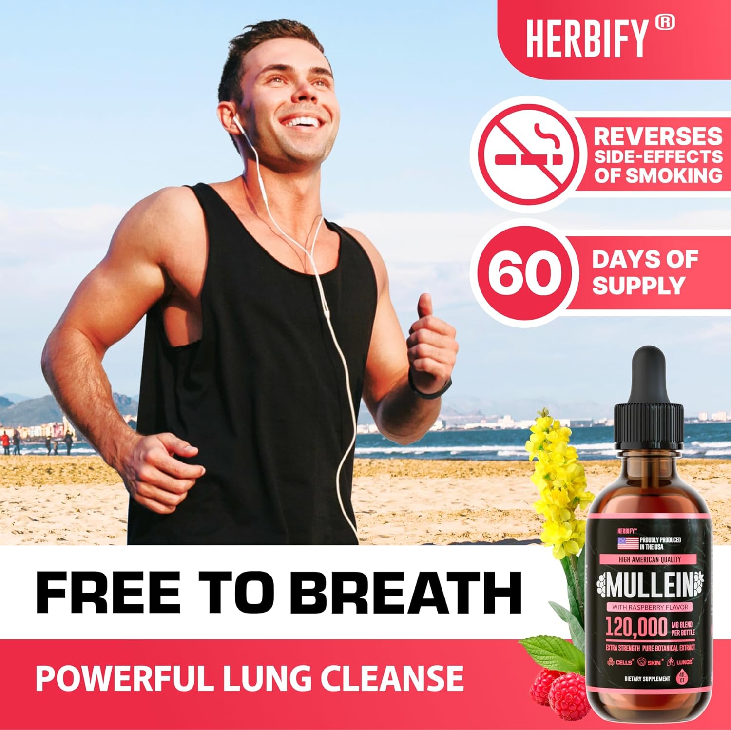 HERBIFY Mullein Drops - Lung Cleanse - Leaf Extract - Powerful Mullein for Immune Support, Detox & Respiratory Support - Made in USA - 4 Oz Raspberry Flavor