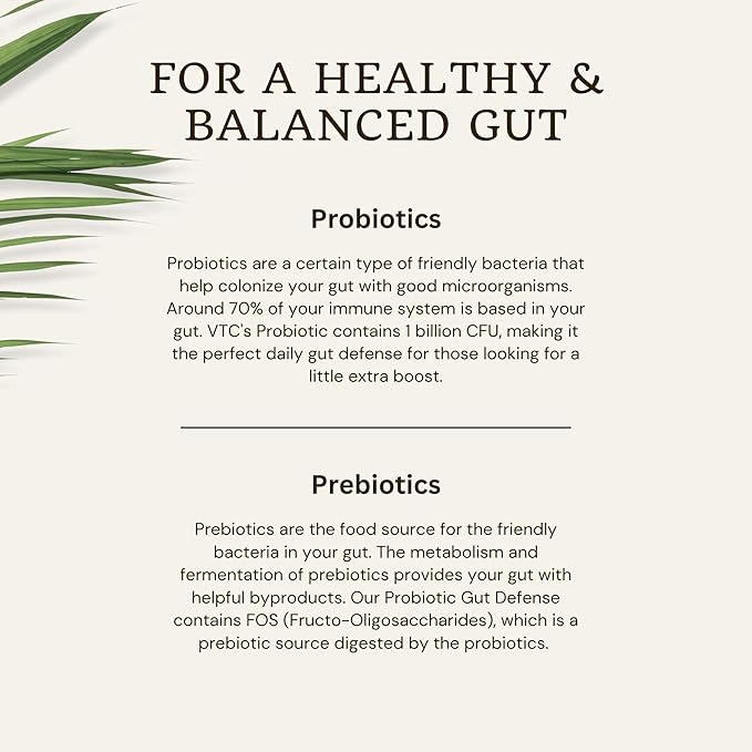 VTC VitaTradingCo. Probiotic Gut Defense | Probiotics and Prebiotics for Gut Health & Digestion | 1 Billion CFU with Whole Food Base | 90 Capsules