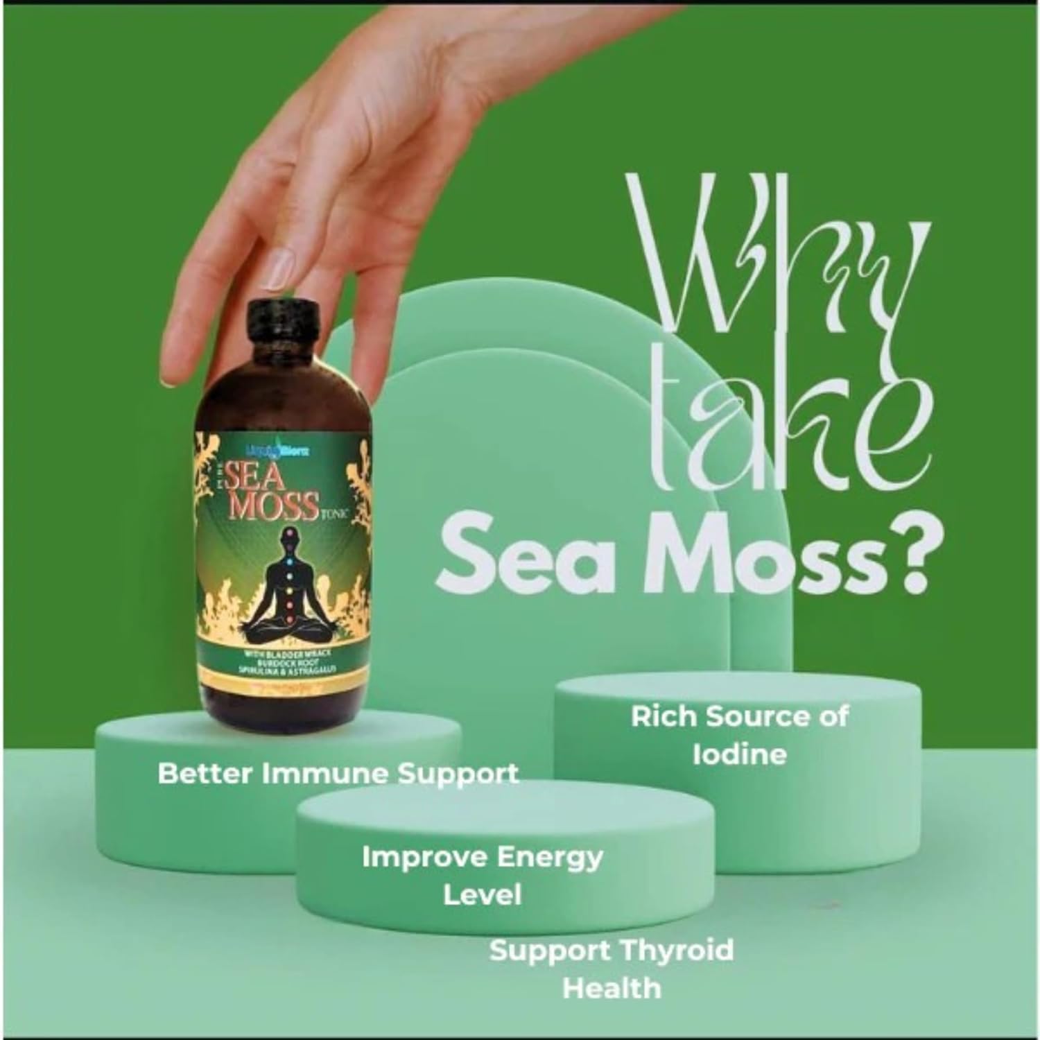 Sea Moss Tonic | Overall Body Enhancement & Wellbeing Support | Natural Herbal Supplement | 16 fl oz