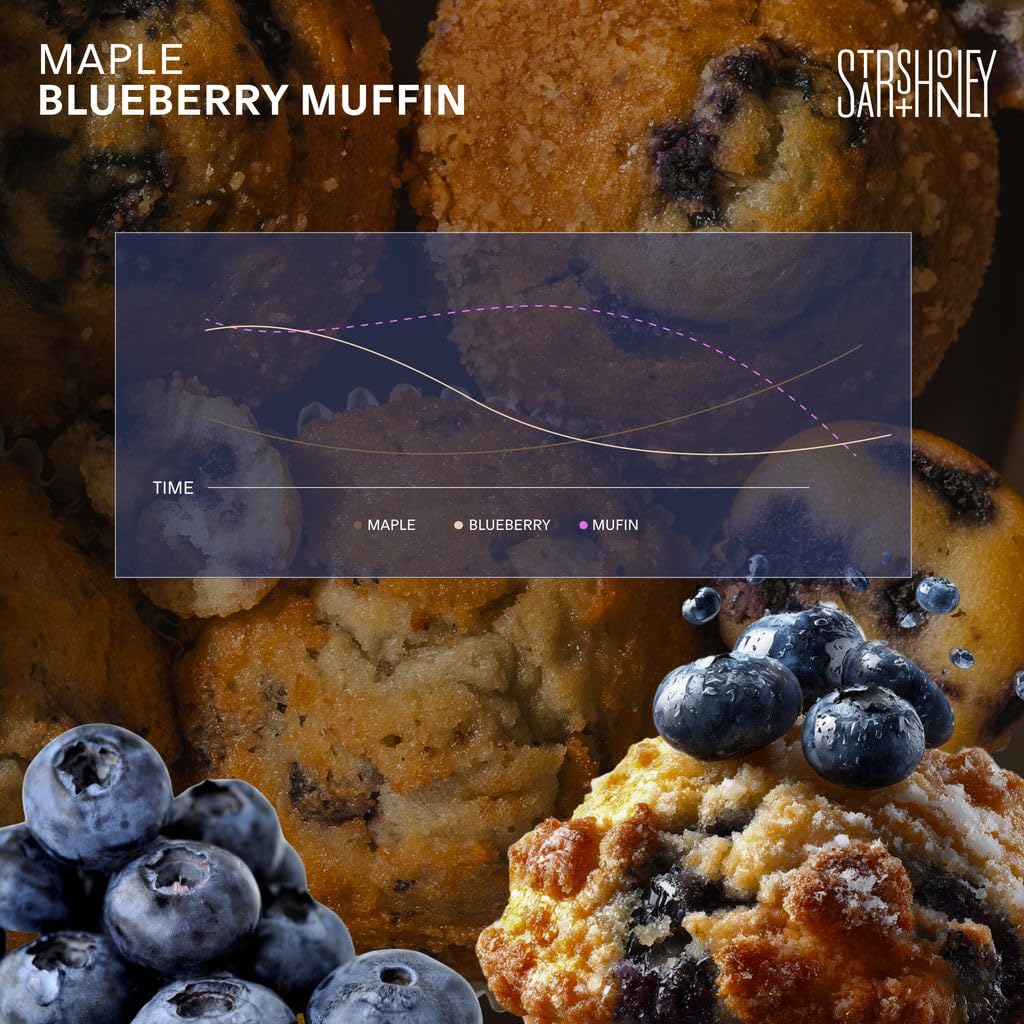 Stars + Honey Protein Bars - Maple Blueberry Muffin,14g Protein, 2g Sugar, w/Collagen Keto Friendly Snack - Gluten, Dairy, Seed Oil, & Soy Free - High-Protein Snacks for Energy & Recovery -10 pack
